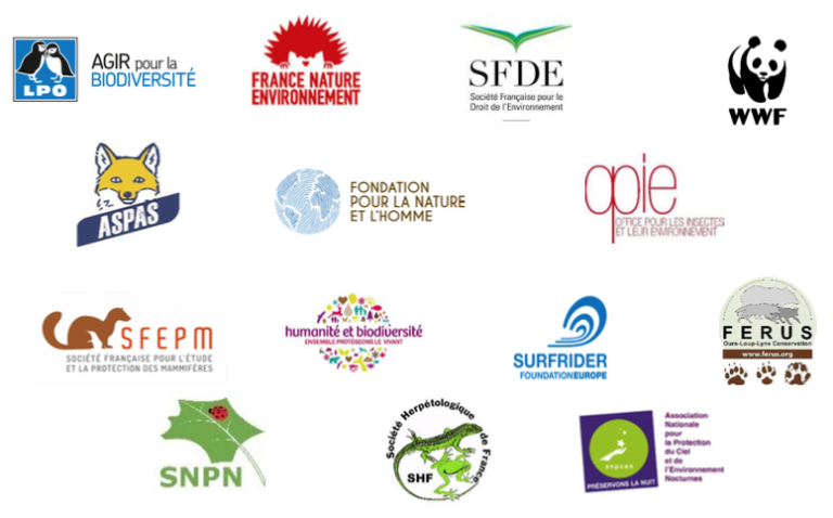 Biodiversité : les ONG interpellent le gouvernement