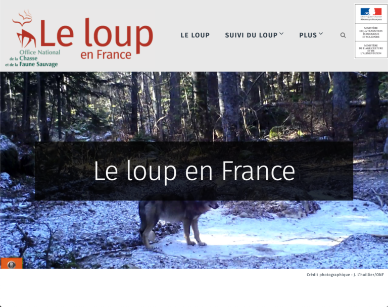 France : le loup s&rsquo;affiche sur internet