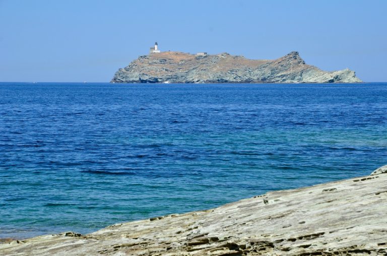 La « Planète Revisitée en Corse » se penche sur les invertébrés et les champignons de l&rsquo;île de Beauté