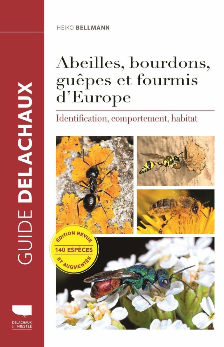 Abeilles, bourdons, guêpes et fourmis d&rsquo;Europe