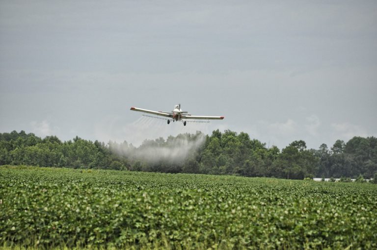 Canada : 50 ans après, le DDT est toujours là (2 mn)