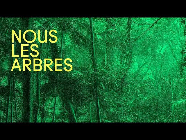Nous les Arbres