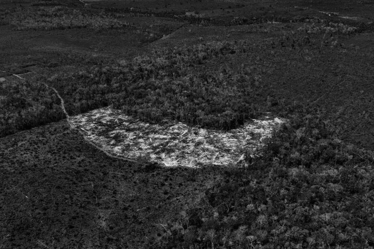 10e Prix Carmignac du photojournalisme consacré à l’Amazonie