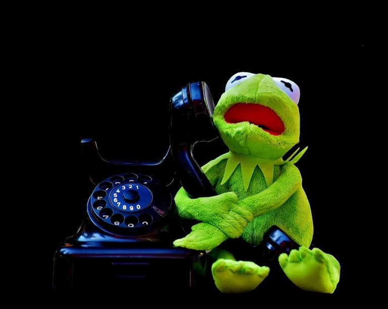 Allô, c&rsquo;est pour coâââ ? Quand les chercheurs téléphonent aux grenouilles (1 mn)