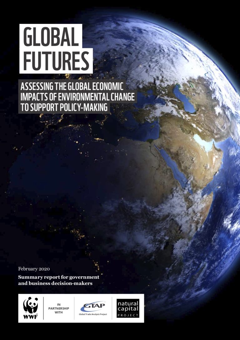 500 milliards de dollars : le coût du déclin de la nature d’ici 2050 (3 mn)