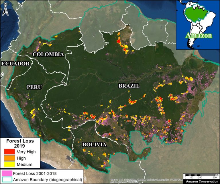 Brésil: la déforestation ralentit encore en Amazonie mais accélère dans le Cerrado