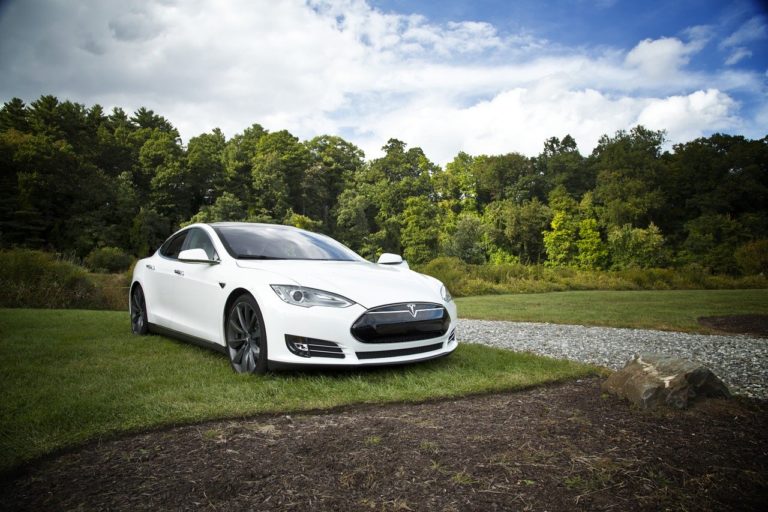 🔻 Allemagne : nouvelles suspensions de travaux sur le chantier de Tesla à Berlin