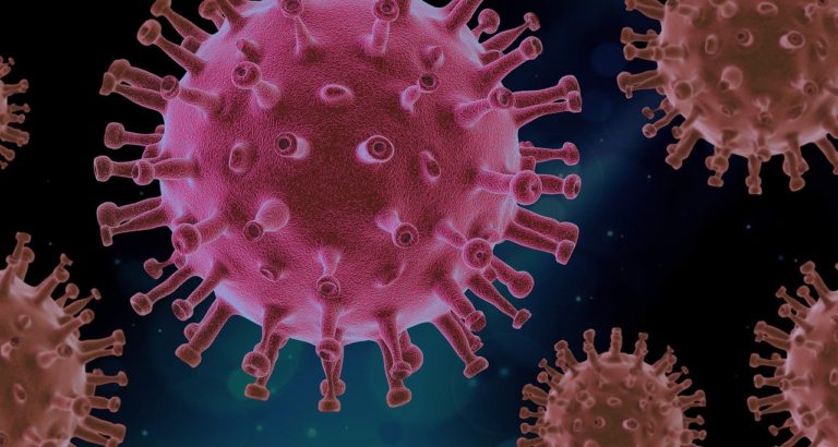 Origine du coronavirus : « il manque une pièce du puzzle » (2 mn)