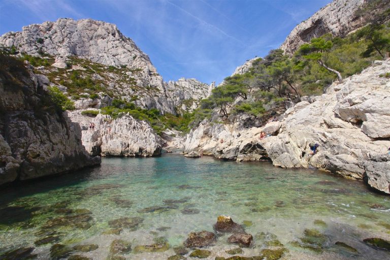 Tout savoir sur les services écosystémiques et les enjeux liés au changement climatique