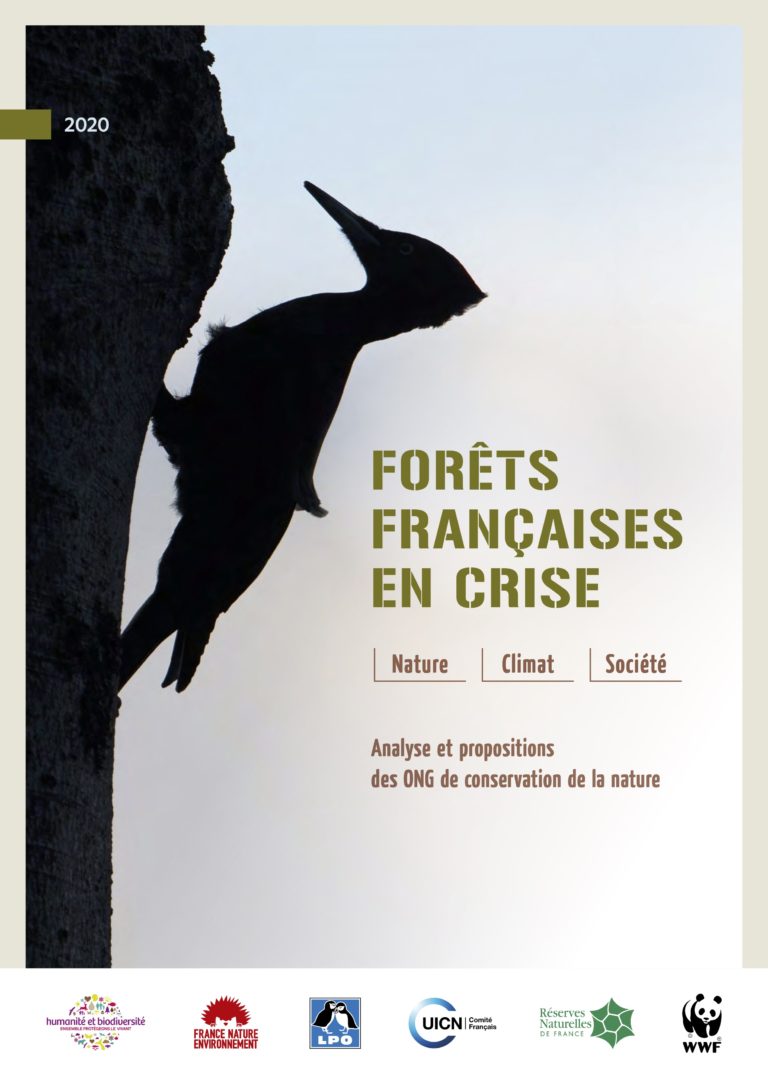 Des pistes pour remédier à la crise de la forêt en France (2 mn 30)