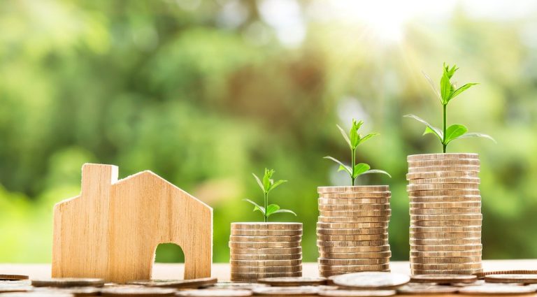 Le verdissement de la fiscalité, outil indispensable pour la relance ?