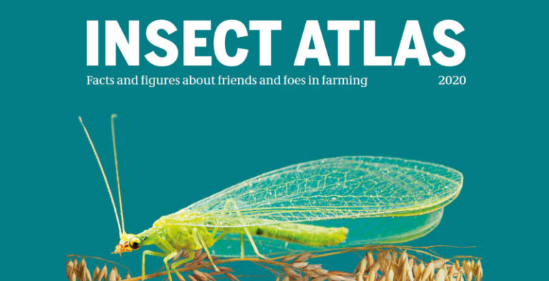 Un atlas des insectes pour dénoncer l&rsquo;utilisation des pesticides (1 mn)