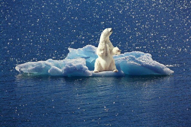 La publicité doit faire beaucoup plus pour le climat et la biodiversité, selon un rapport