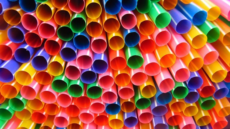 Il pleut du plastique dans les parcs nationaux américains : 1000 tonnes par an !