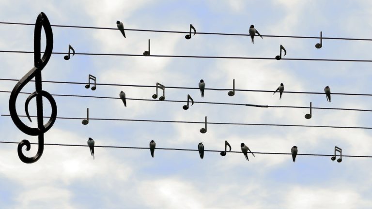 🆓 Les humains sont capables de décrypter – en partie – les cris des chimpanzés et les chants d&rsquo;oiseaux