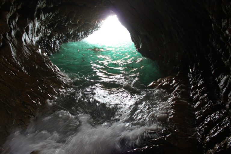 🔻 Calanques de Marseille: des braconniers condamnés pour préjudice écologique