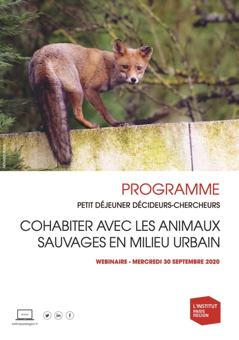 Webinaire : comment cohabiter avec la faune sauvage ?