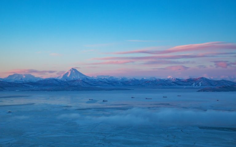 Kamtchatka : une « catastrophe écologique » provoque la mort massive d&rsquo;animaux marins