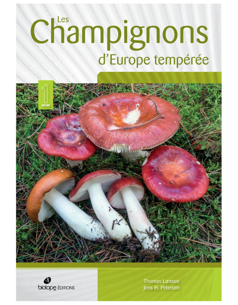 Les Champignons d&rsquo;Europe tempérée