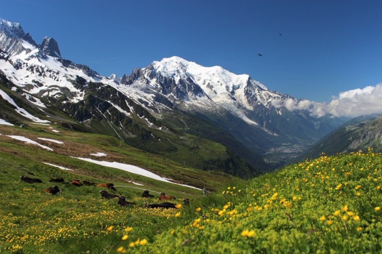 🔻 L&rsquo;arrêté portant création de la zone de protection d&rsquo;habitats du Mont Blanc a été signé
