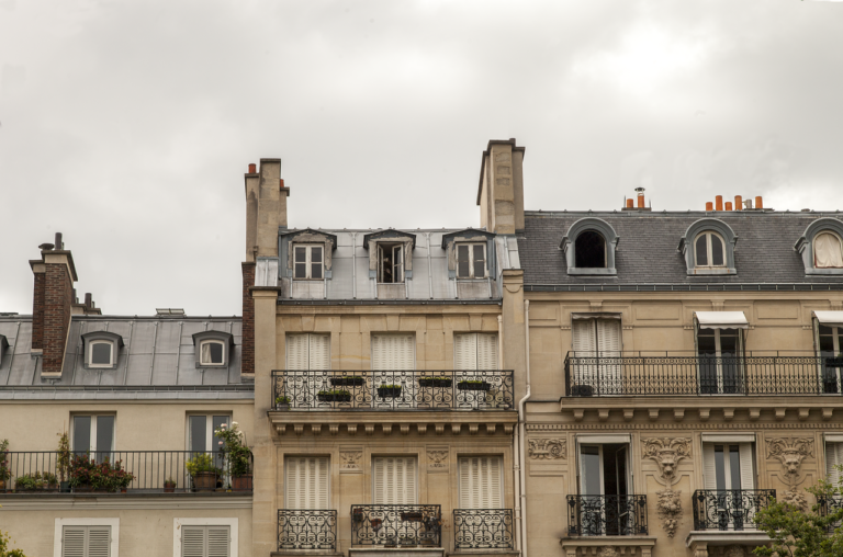 Des animaux sauvages saisis dans un appartement parisien