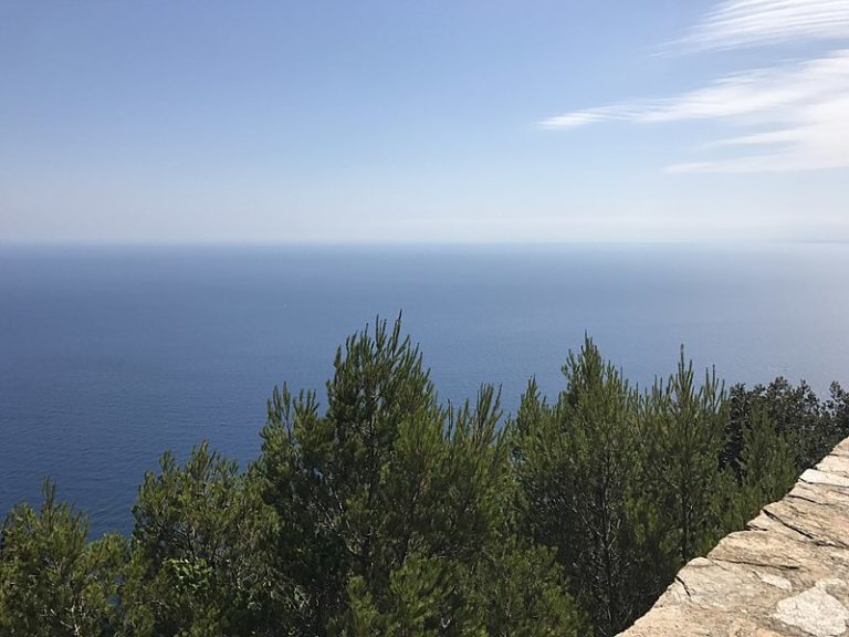 Lancement d&rsquo;un Consortium méditerranéen pour la biodiversité face à l&rsquo;urgence climatique