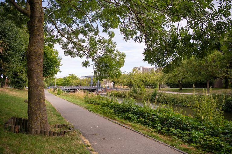 L’OFB lance une formation en ligne sur les continuités écologiques