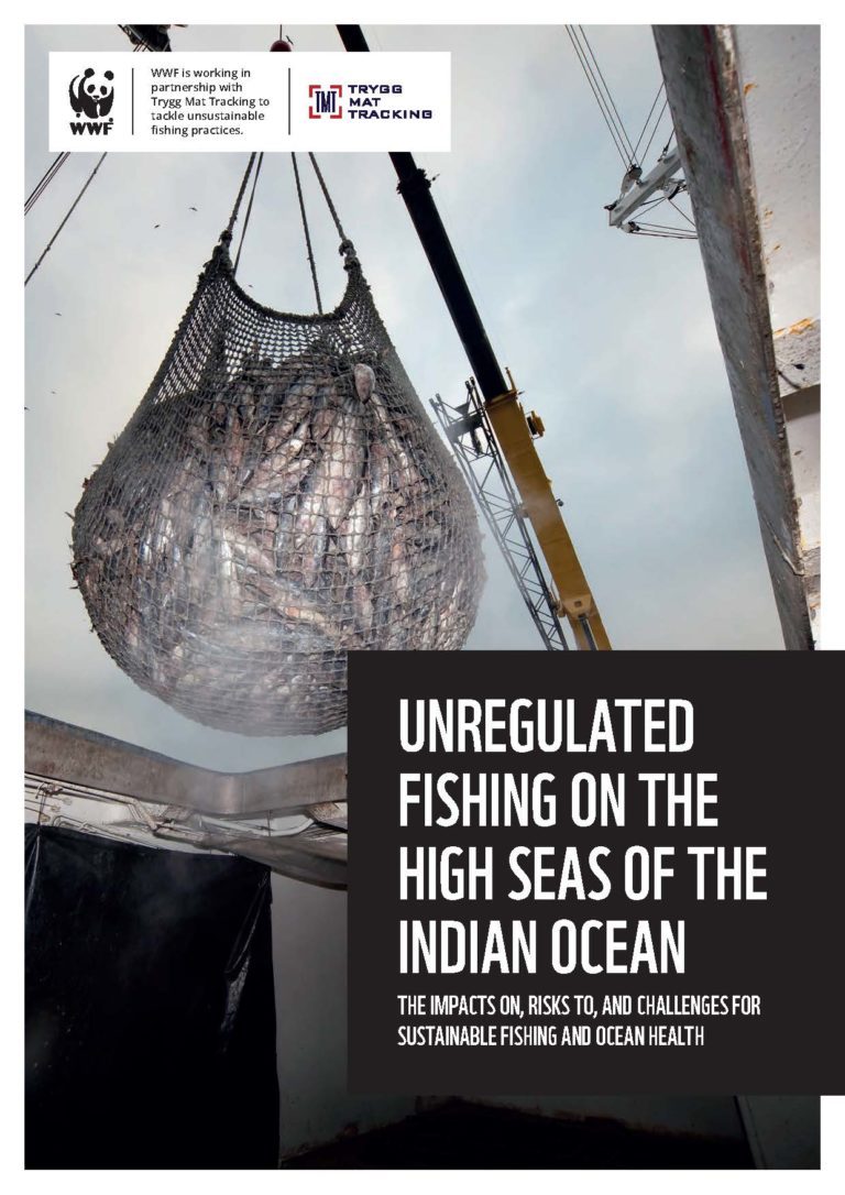 🔻 Un rapport du WWF montre l’impact de la pêche non réglementée sur la vie marine de l’océan Indien