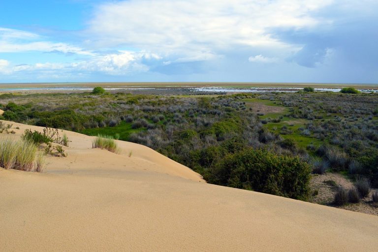 🔻 La Cour de Justice de l&rsquo;UE accuse l&rsquo;Espagne de laisser le Doñana se déteriorer