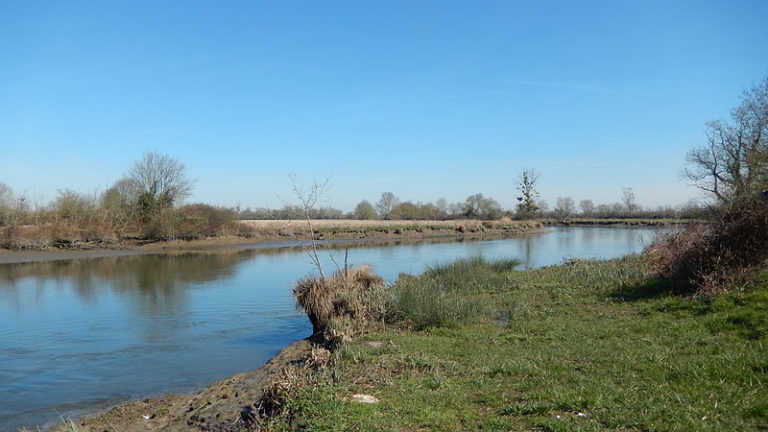 🔻La justice annule la construction de 21 bassines sur le bassin de la Boutonne