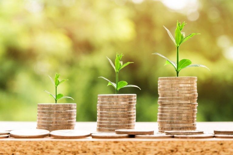 🔻Un décret étend les obligations de reporting des institutions financières à la prise en compte de la biodiversité