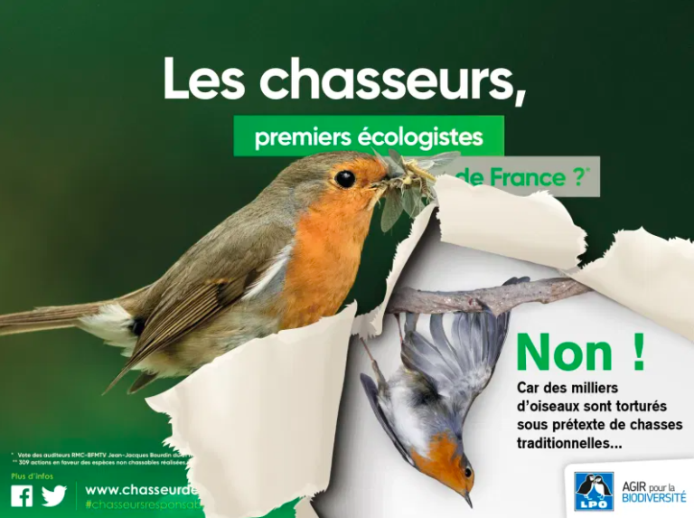 🔻 La Fédération nationale des chasseurs reconnue « coupable » de parasitisme à l&rsquo;égard de la LPO
