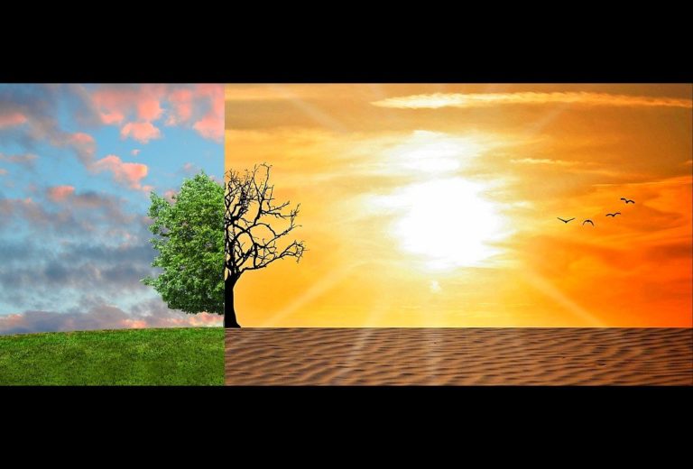 changement climatique