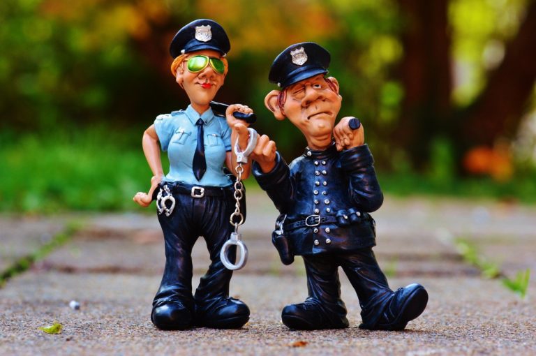 🔻En Bretagne, des gendarmes traquent les bandits de l&rsquo;environnement 