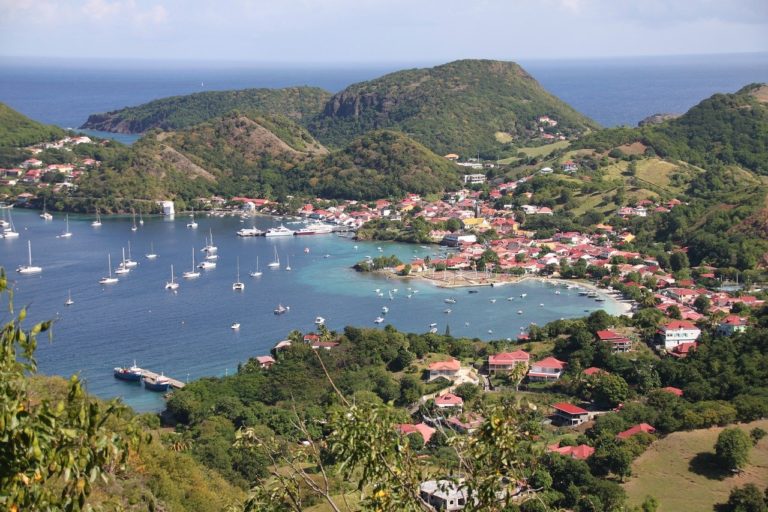 L&rsquo;arrivée des colons européens en Guadeloupe a décimé la population de reptiles