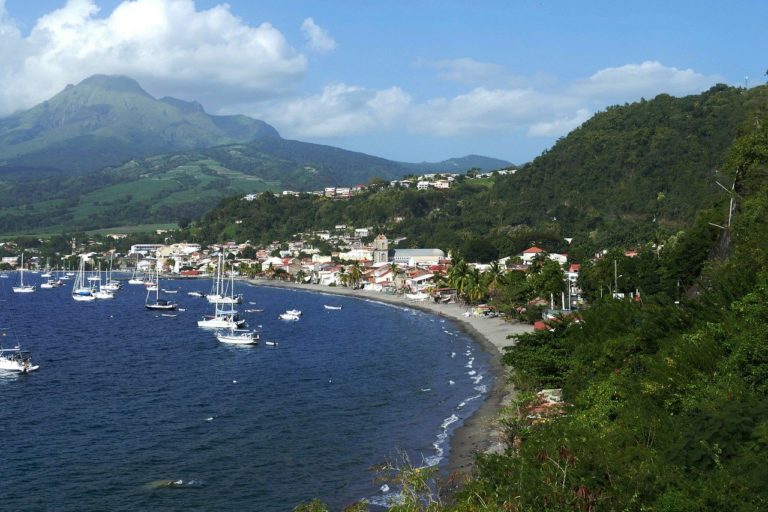 🔻 Biodiv&rsquo;éco : accompagner l&rsquo;émergence de projets de valorisation économique de la biodiversité d&rsquo;Outre-mer