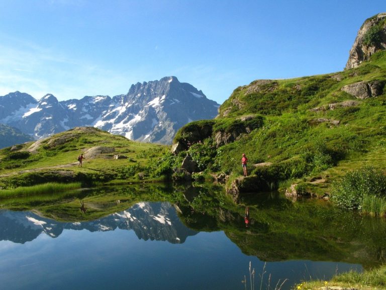 🔻 Panacher zones protégées et non protégées pourrait maximiser la biodiversité régionale