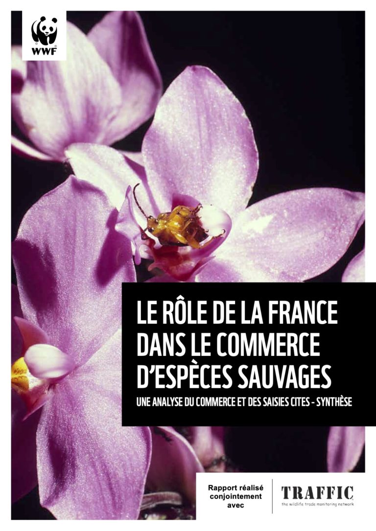 La France joue un rôle majeur dans le trafic d&rsquo;espèces au sein de l&rsquo;UE