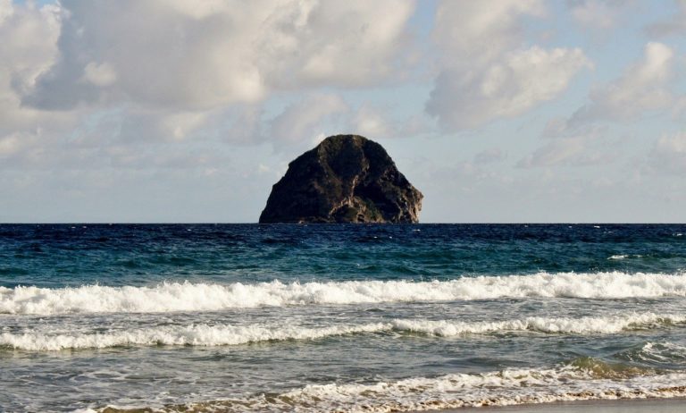 🔻 Des îles désormais englouties ont permis à la faune sud-américaine de coloniser les Antilles
