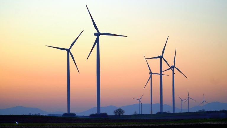 Energies renouvelables: des ONG veulent des garanties « écologiques » et « démocratiques »