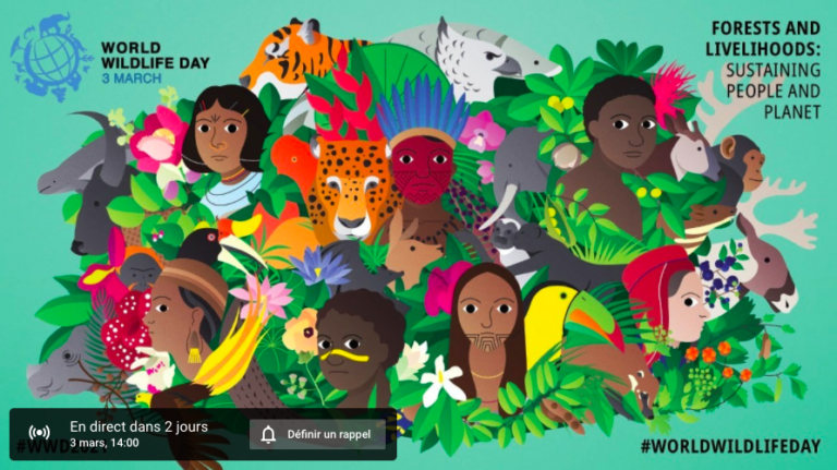 Forêts et moyens de subsistance : soutenir les populations et la planète