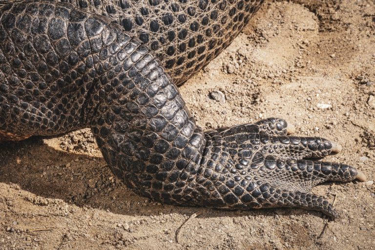 LVMH veut neutraliser son impact sur la biodiversité d&rsquo;ici 2030