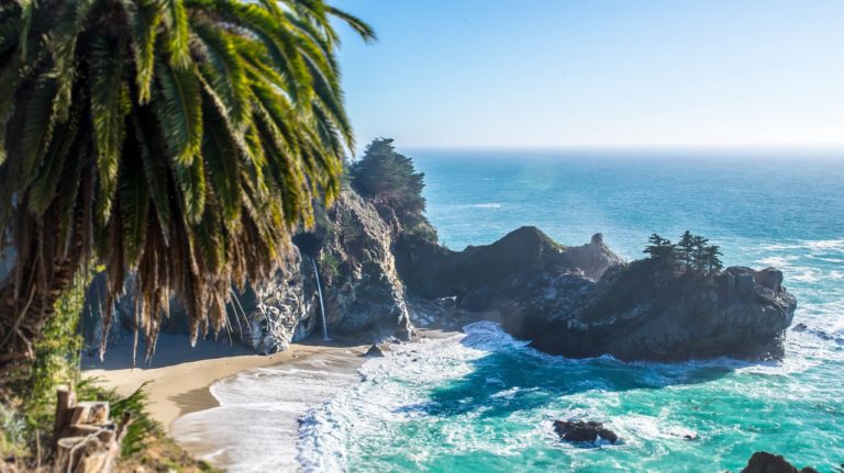 🔻Les espèces exotiques sont plus résistantes au réchauffement climatique que les espèces endémiques des îles