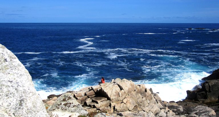 🔻 Le Parc naturel marin lance son appel à projets pour améliorer les connaissances sur le littoral et sa mer