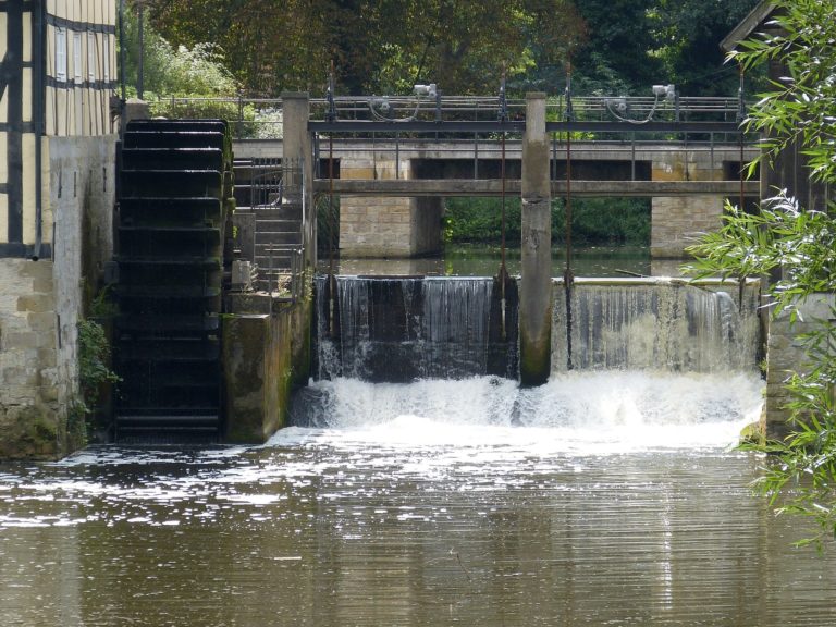  🔻Loi Climat: cause commune des députés sur l&rsquo;avenir de l&rsquo;eau potable et de  la forêt