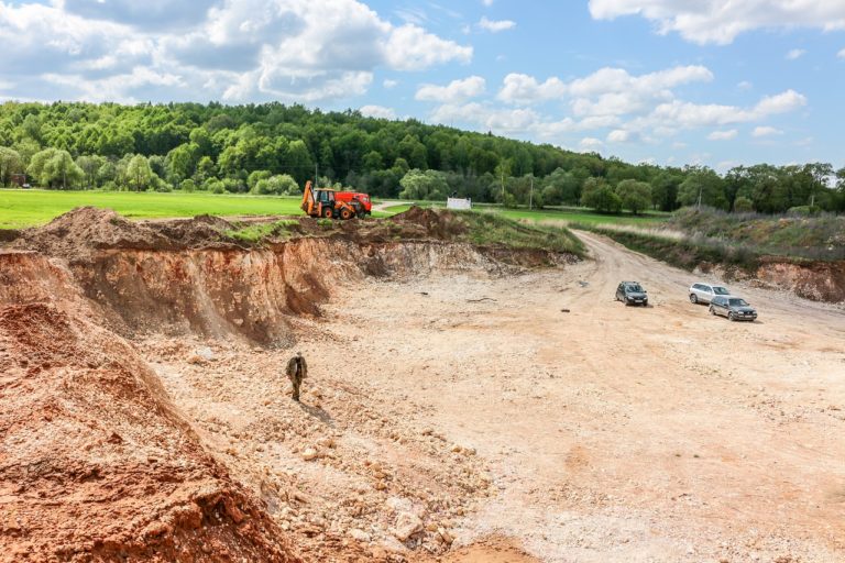 🔻Une plante stabilise les déchets miniers