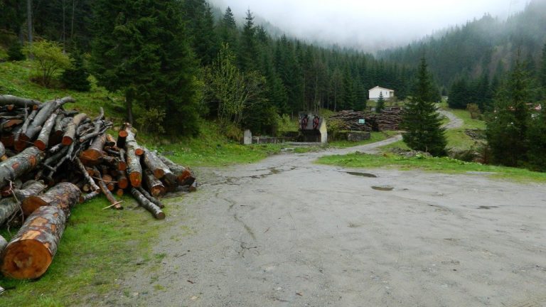 🔻 L&rsquo;Etat met la forêt publique sous tension