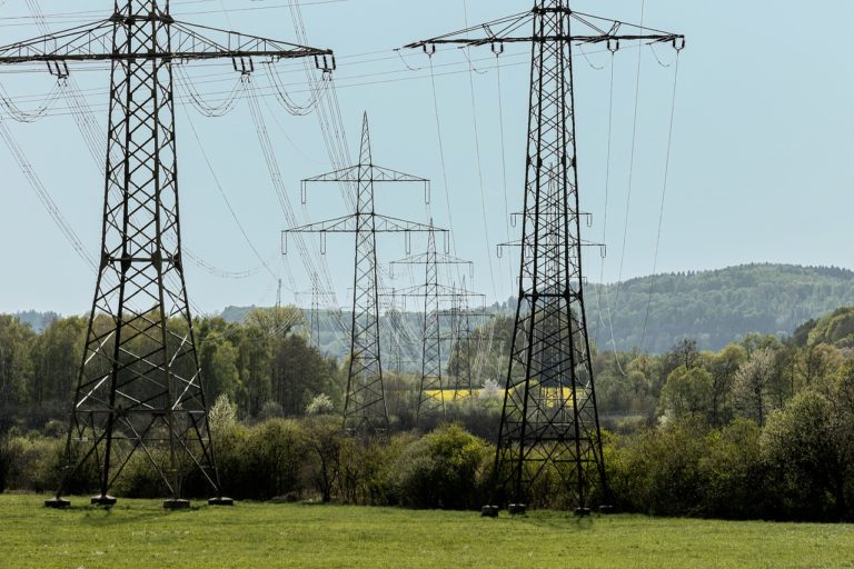 🔻Un guide pour mieux intégrer la biodiversité en amont des projets de réseaux électriques