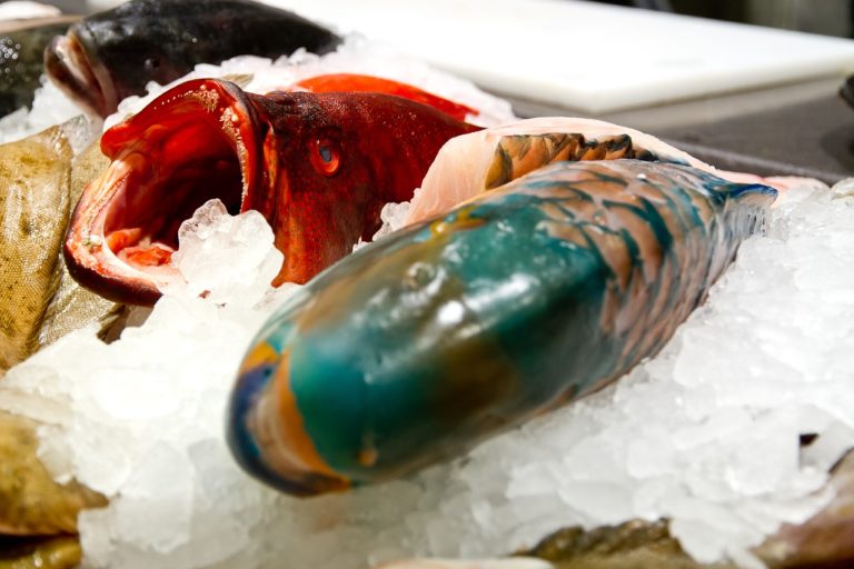 Poisson « durable » : les supermarchés français à la traine