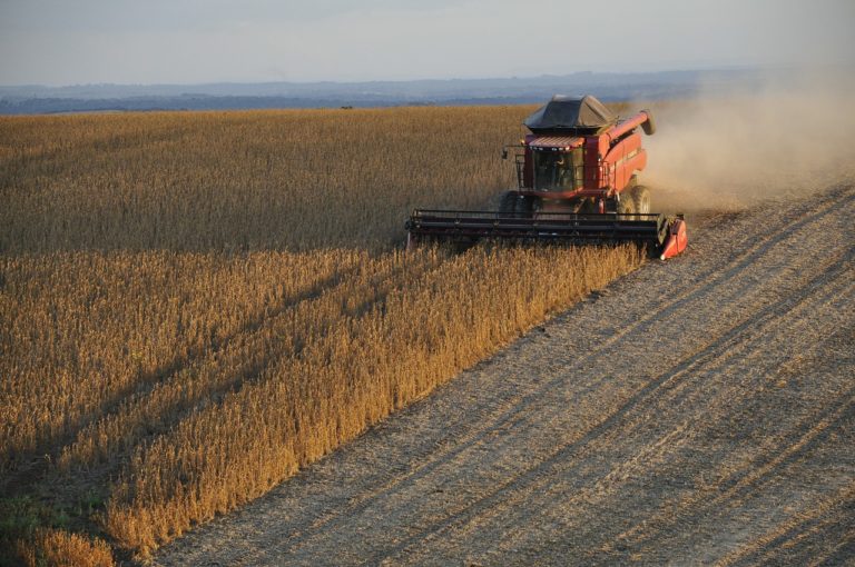 Les actionnaires de Bunge Limited veulent mettre fin à la déforestation